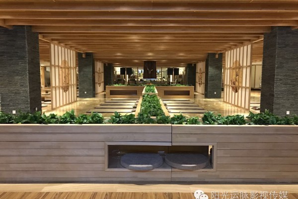 广州深夜美食地图：探寻广州夜宵的秘密