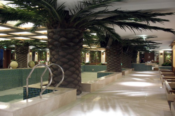 广州95场戴套吹吗事件深度解析